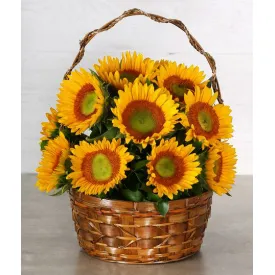 12 sunflowers tin basket to philippines